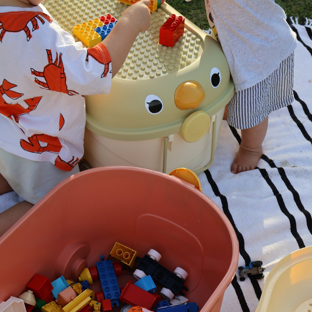 Storage - Cowrie & Conch