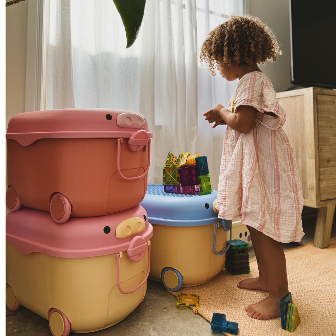 ‘Ride a Long Storage&