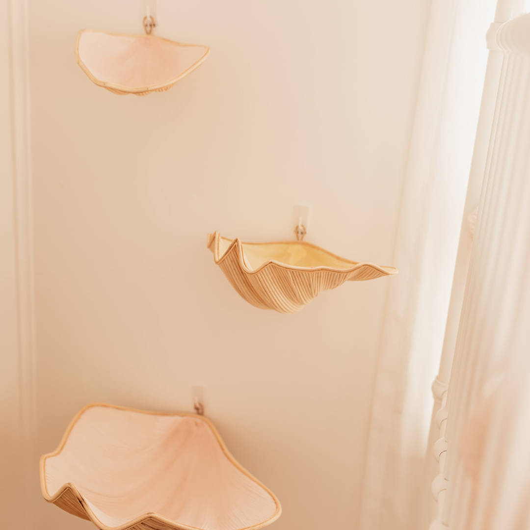 Clam Shells (use as shelves or decoration) - Pink - Medium
