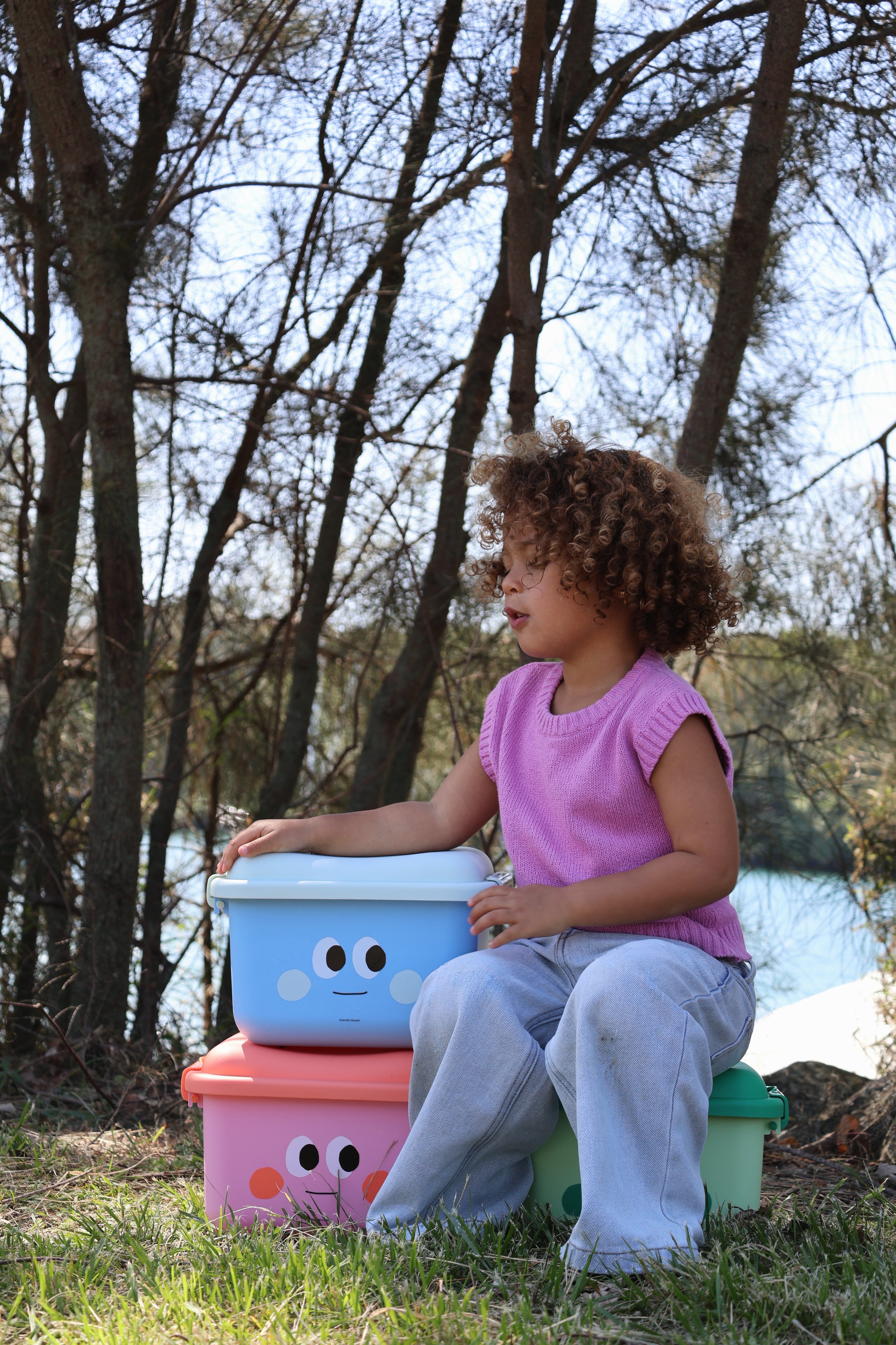 Scoot & Store Desk Caddy - Steele