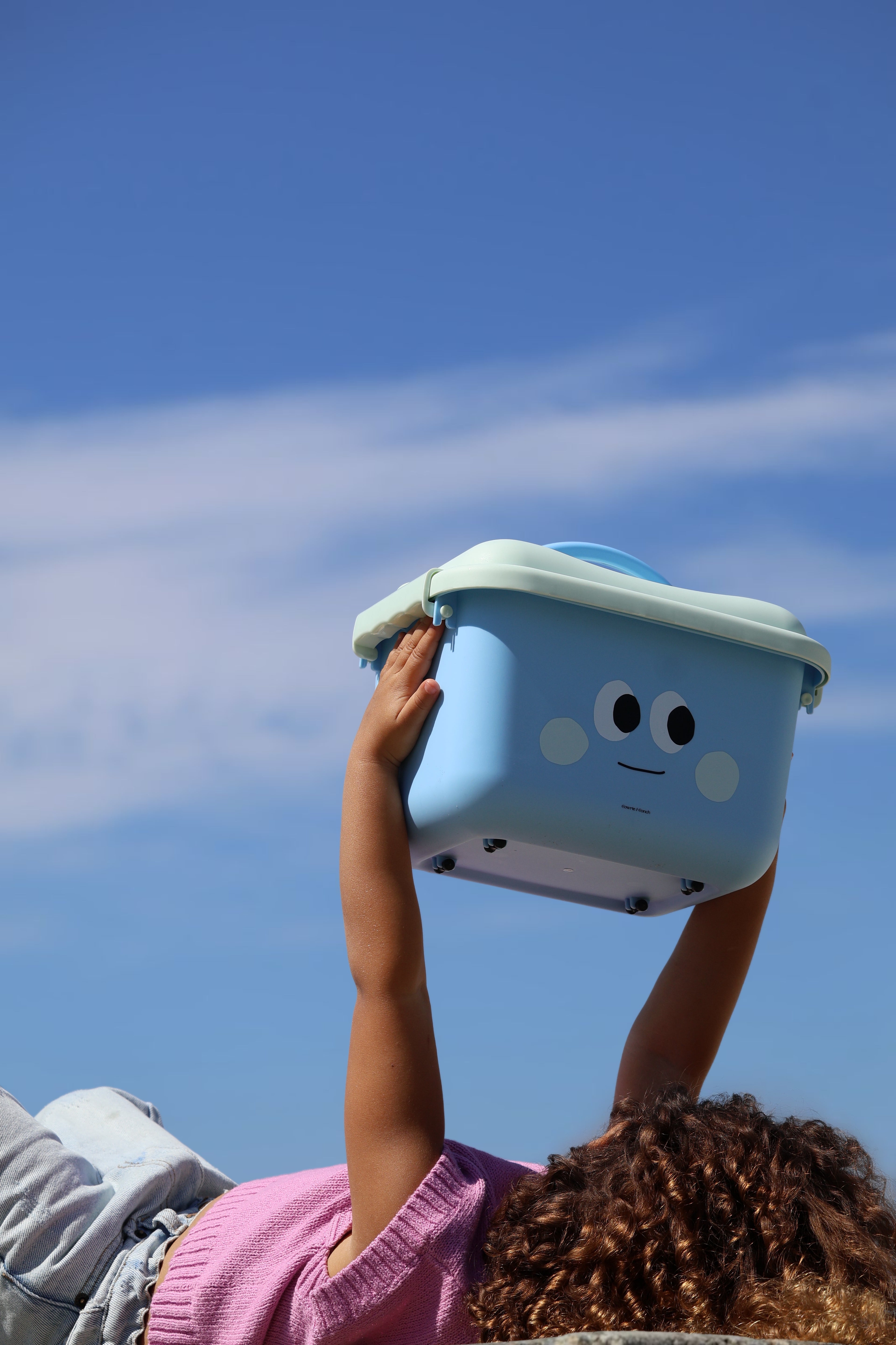 Scoot & Store Desk Caddy - Steele