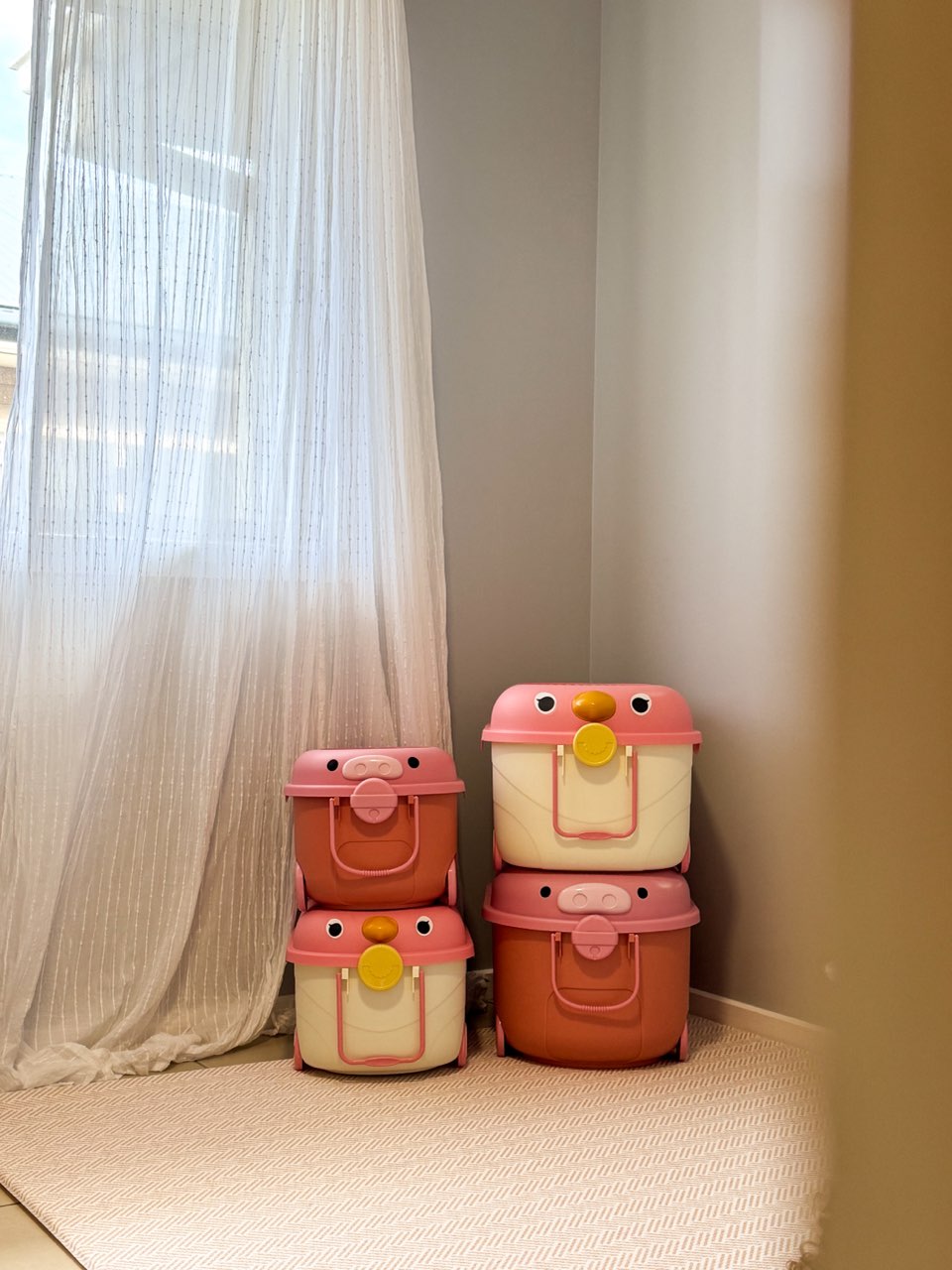 ‘Ride a Long Storage&