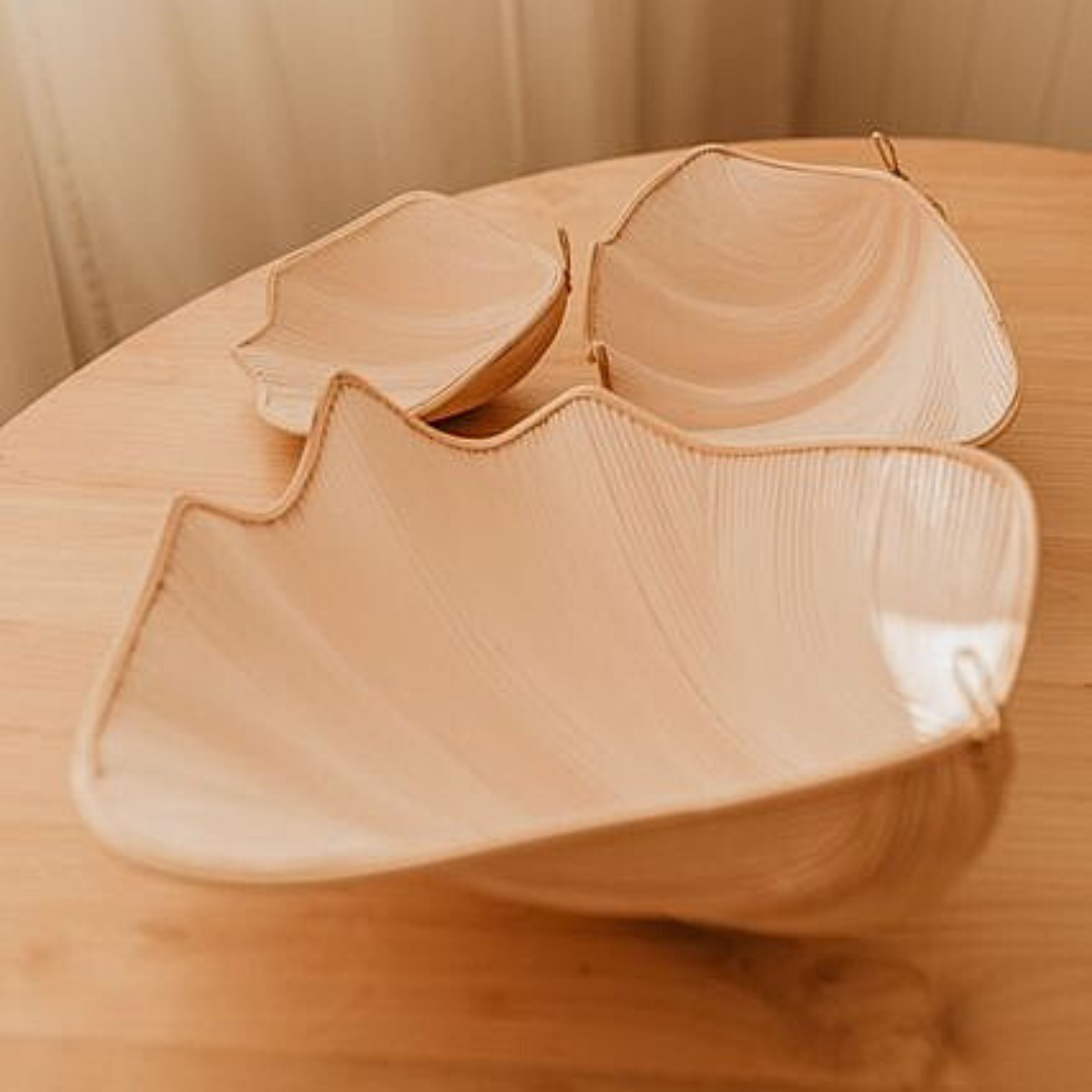 Clam Shells (use as shelves or decoration) - Lemon - Large