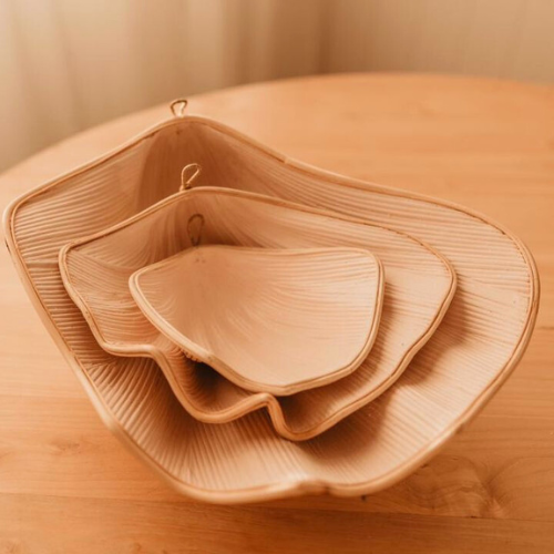 Clam Shells (use as shelves or decoration) - Lemon - Large