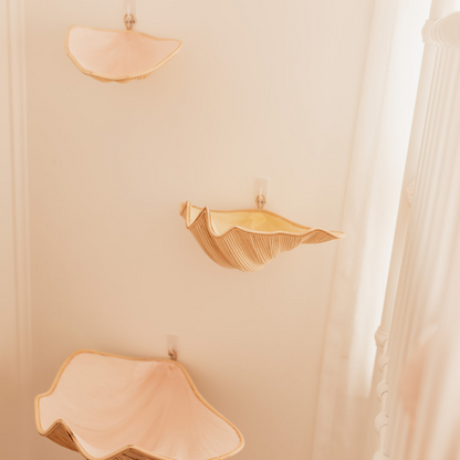 Clam Shells (use as shelves or decoration) - Lemon - Large