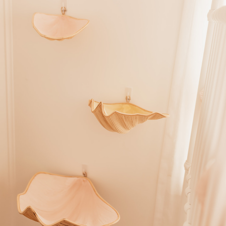 Clam Shells (use as shelves or decoration)