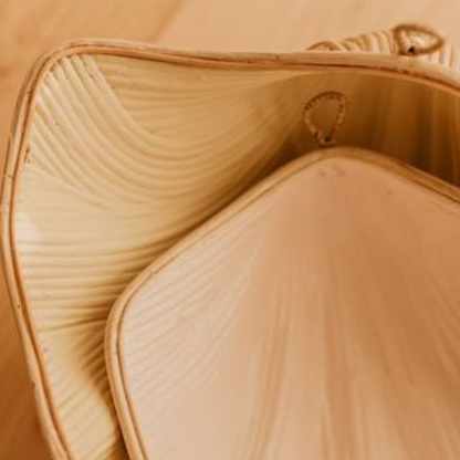 Clam Shells (use as shelves or decoration) - Lemon - Large