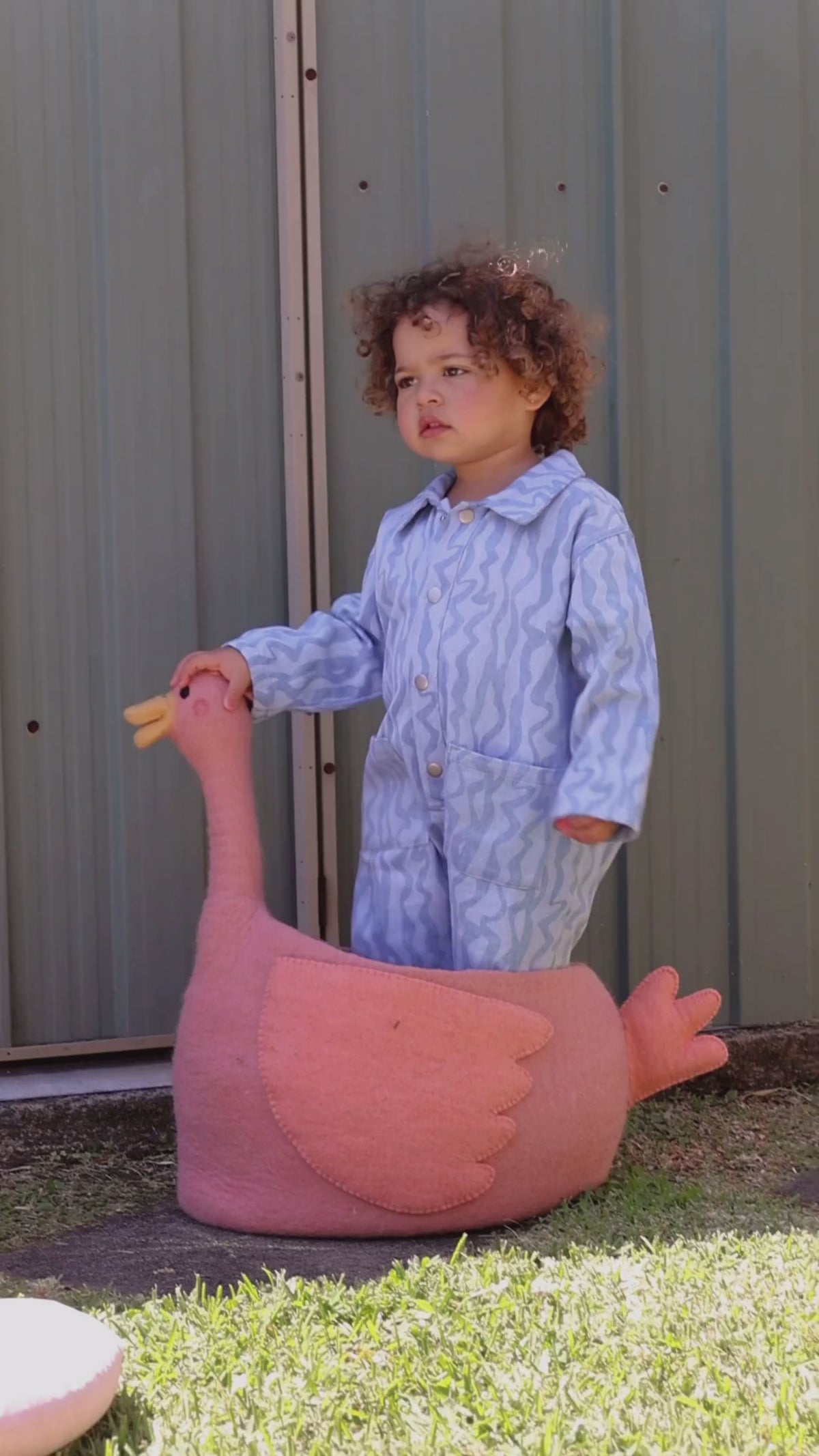 Gabby the Goose