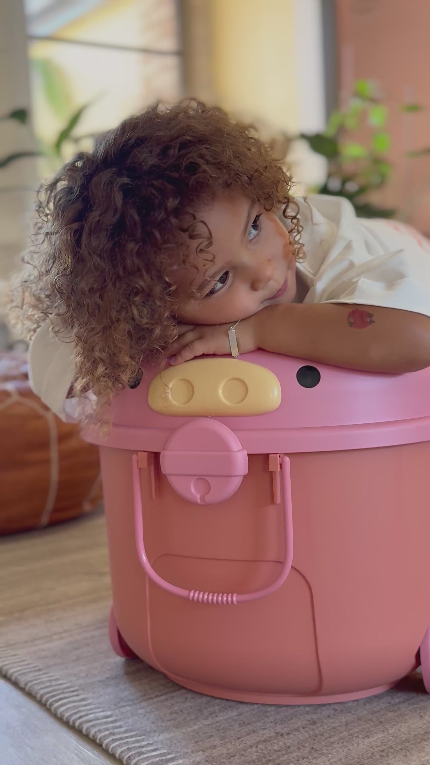 ‘Ride a Long Storage&