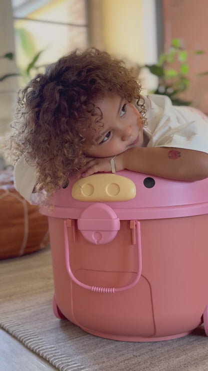 ‘Ride a Long Storage&